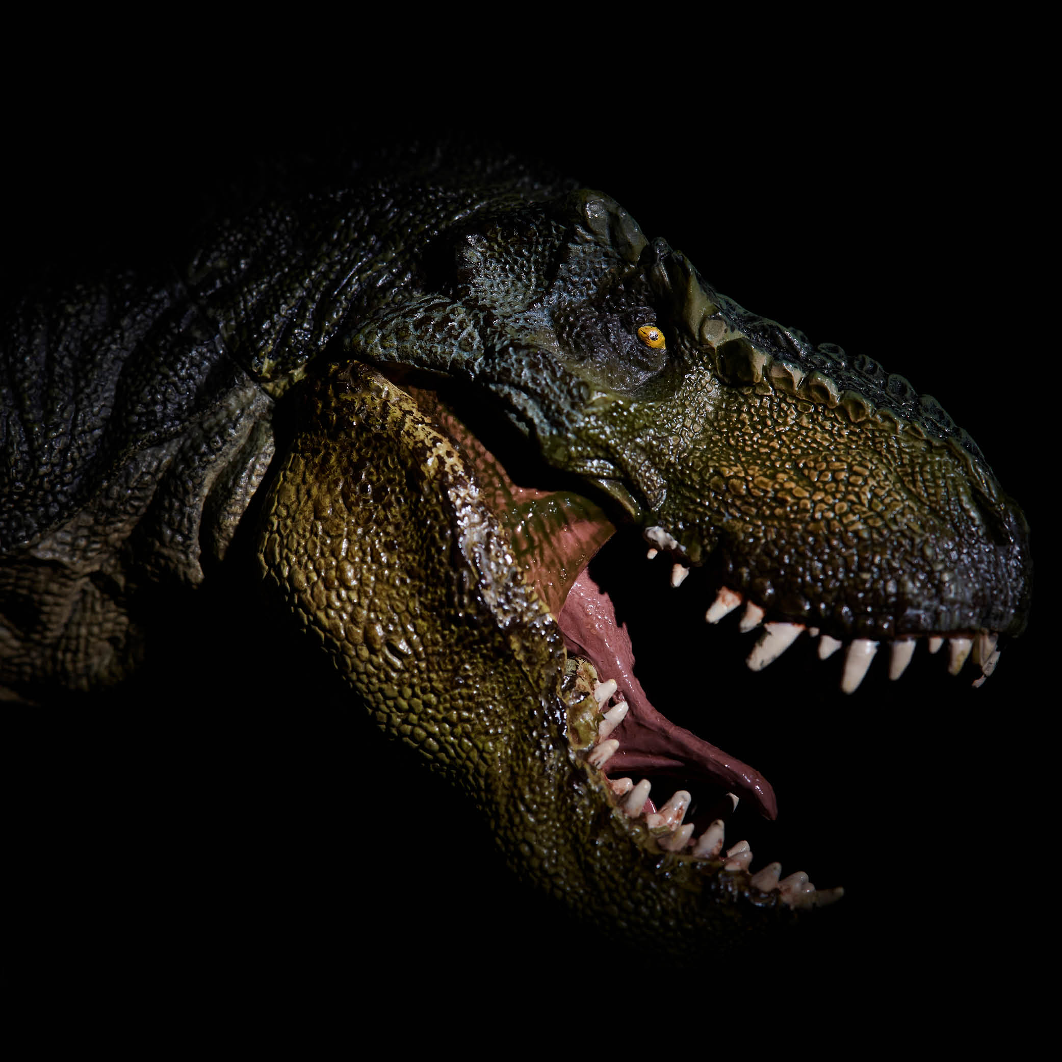 KBW Images5